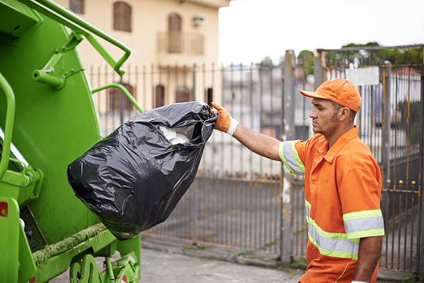 Best Green Junk Removal in Wilkinson Heights, SC